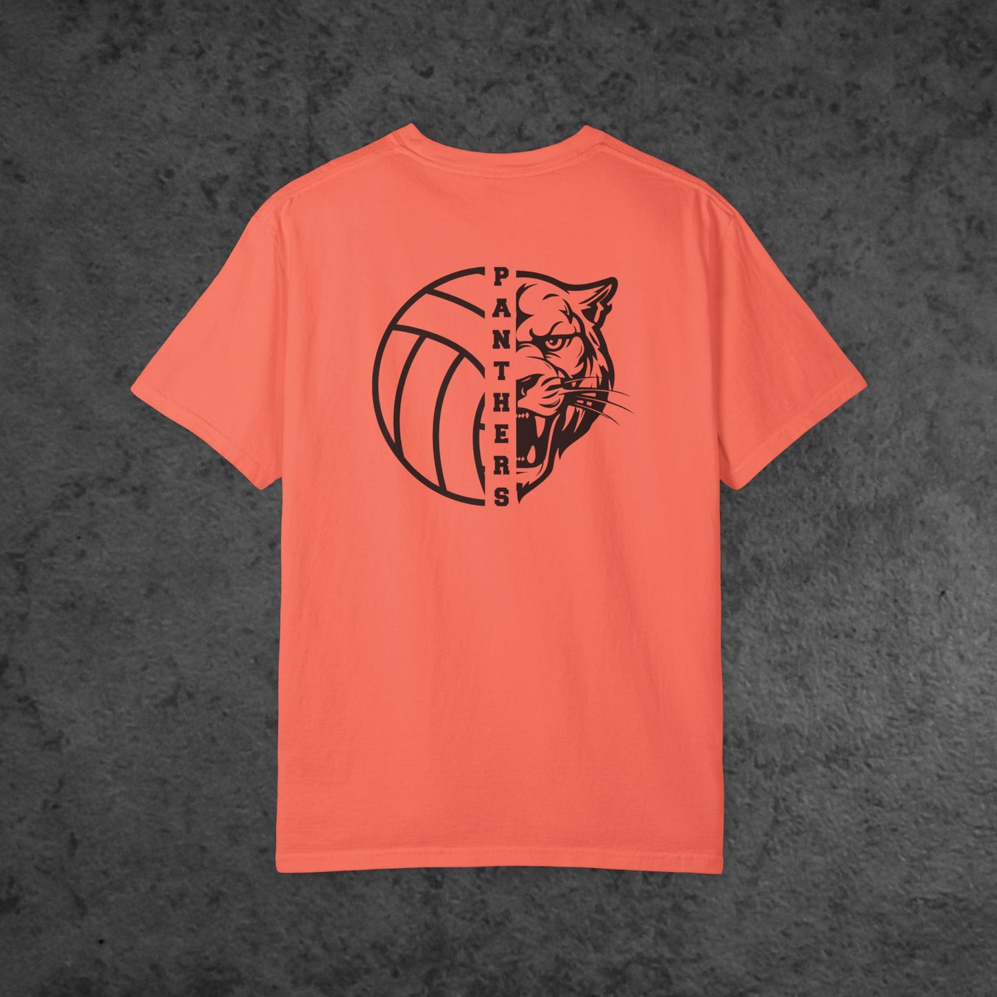 Volleyball Panther