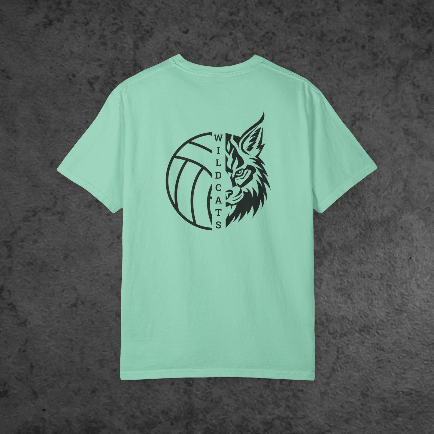 Volleyball Wildcat