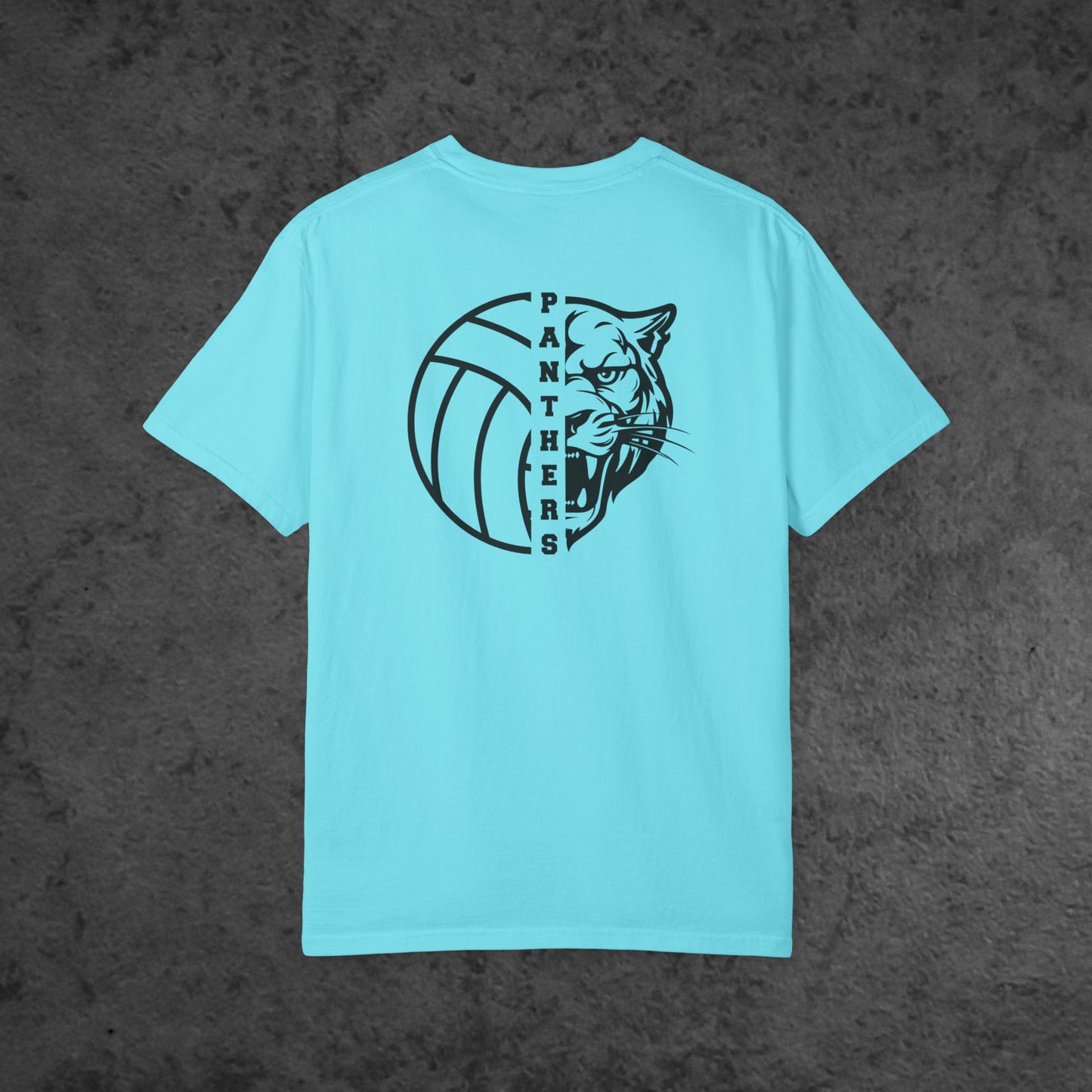 Volleyball Panther