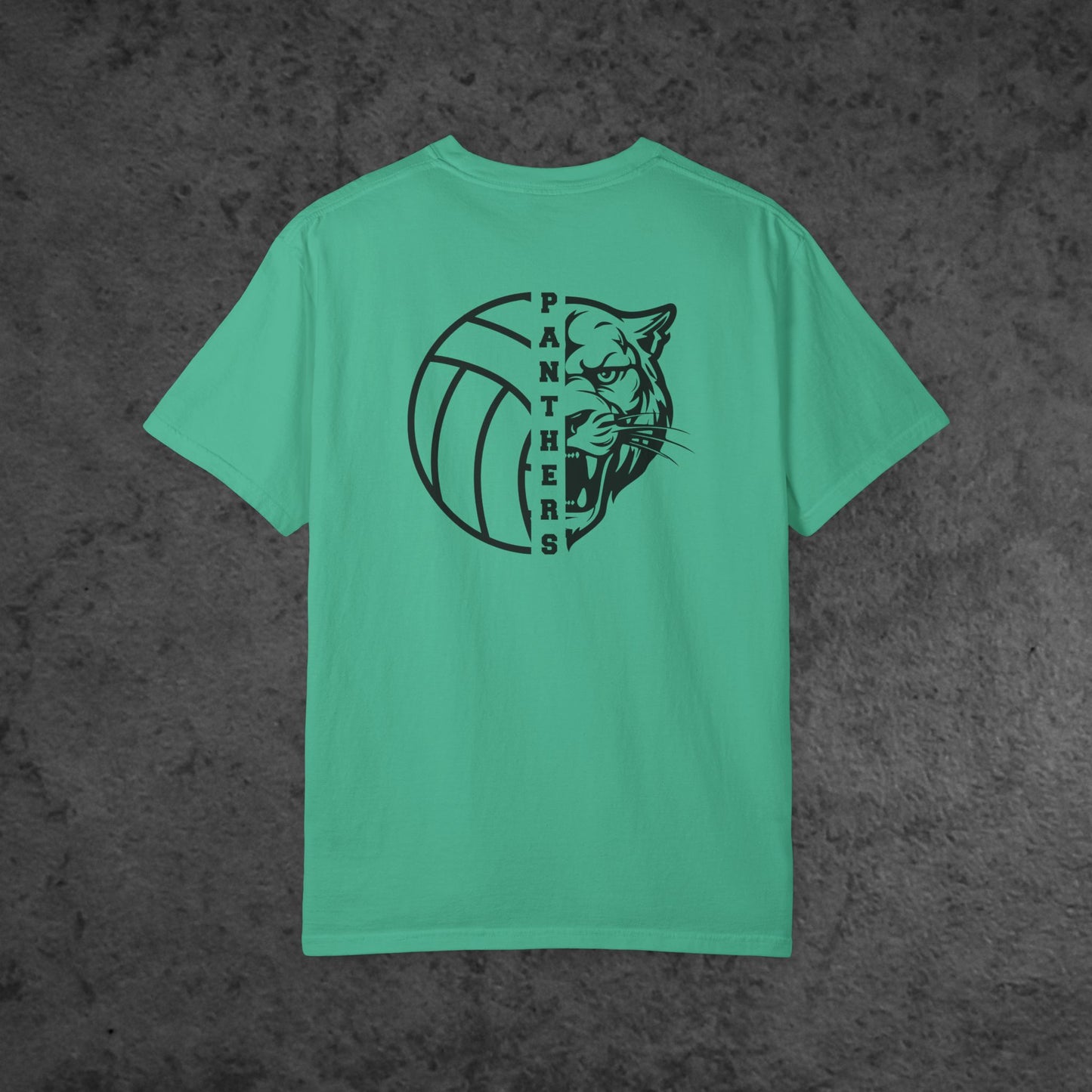 Volleyball Panther