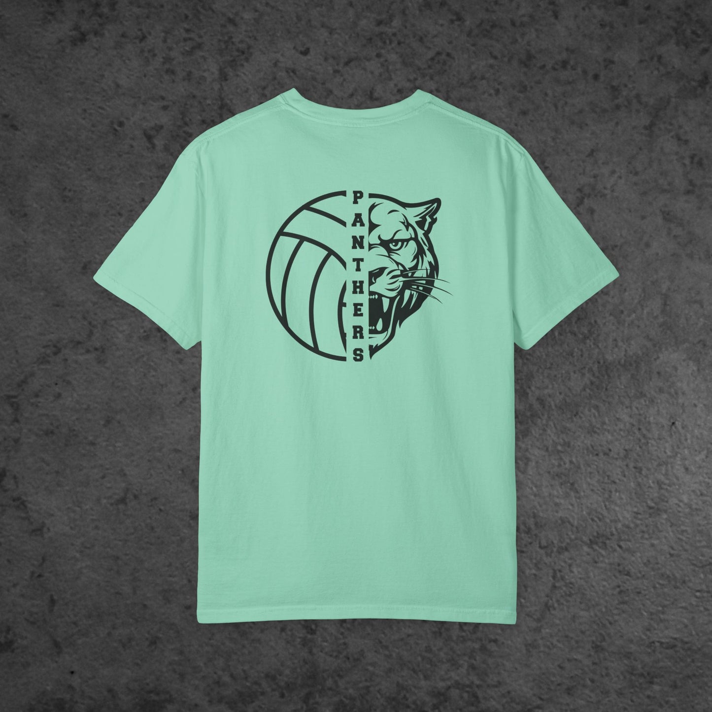 Volleyball Panther