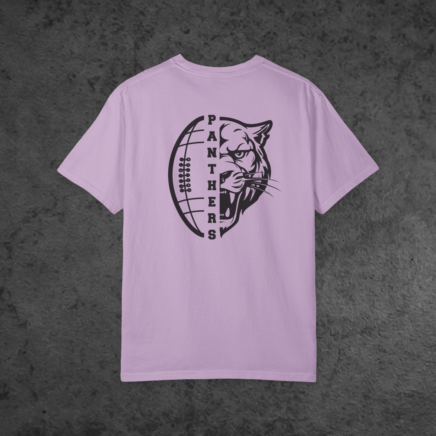 Football Panther