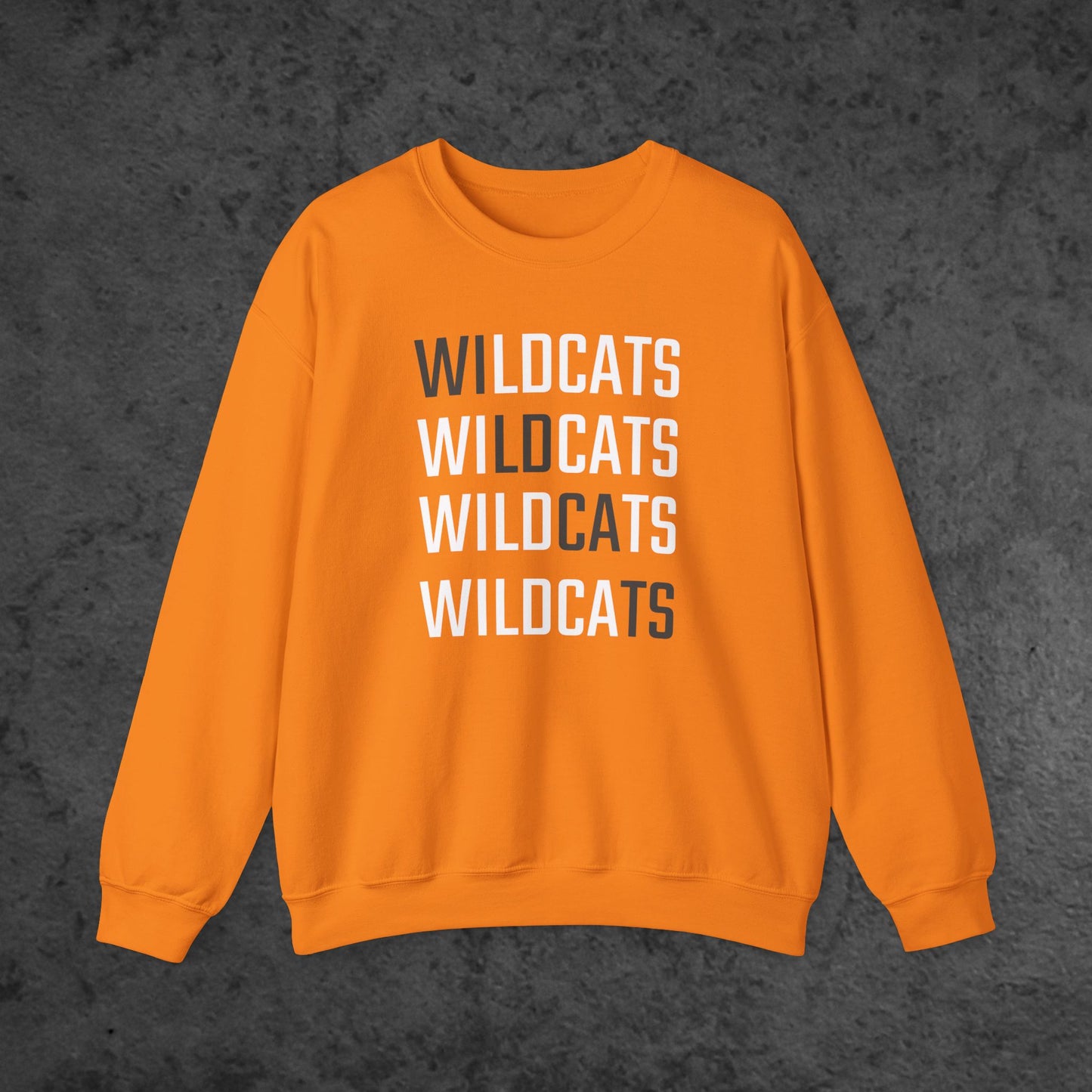 Medina Valley MS | WI-LD-CA-TS
