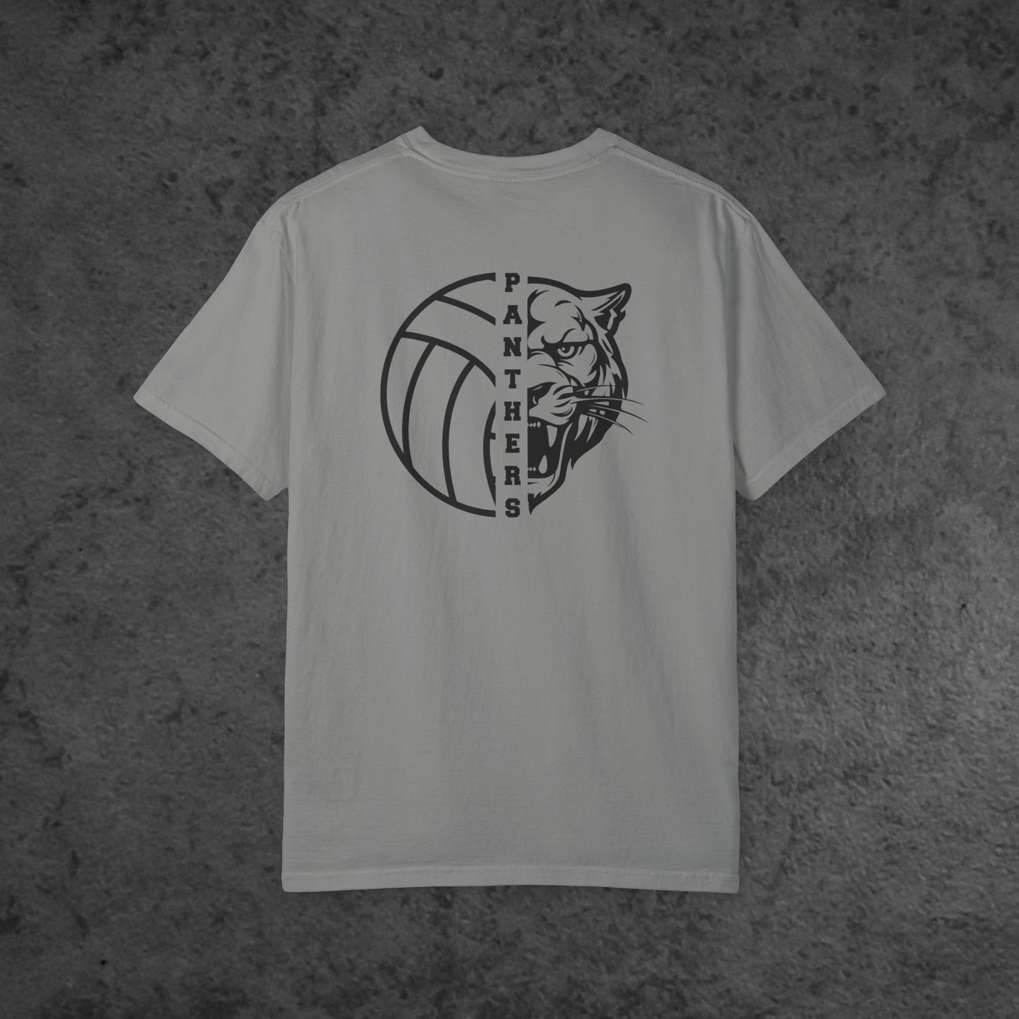 Volleyball Panther