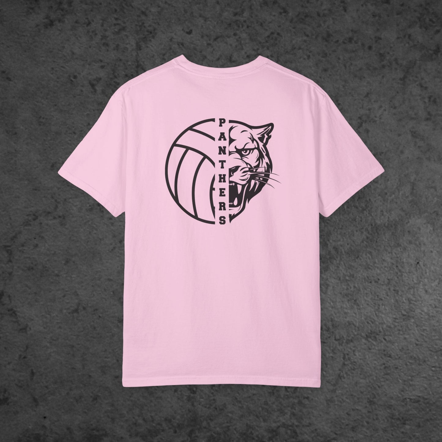 Volleyball Panther