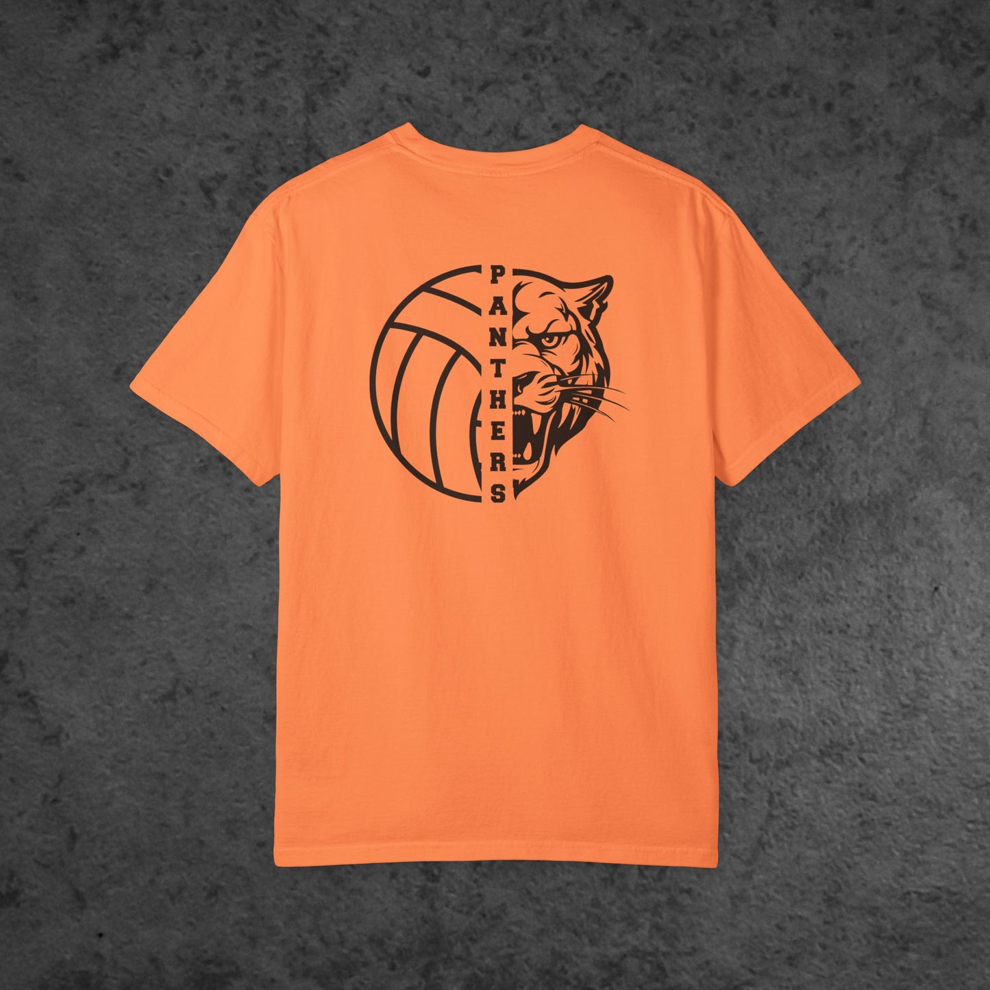 Volleyball Panther