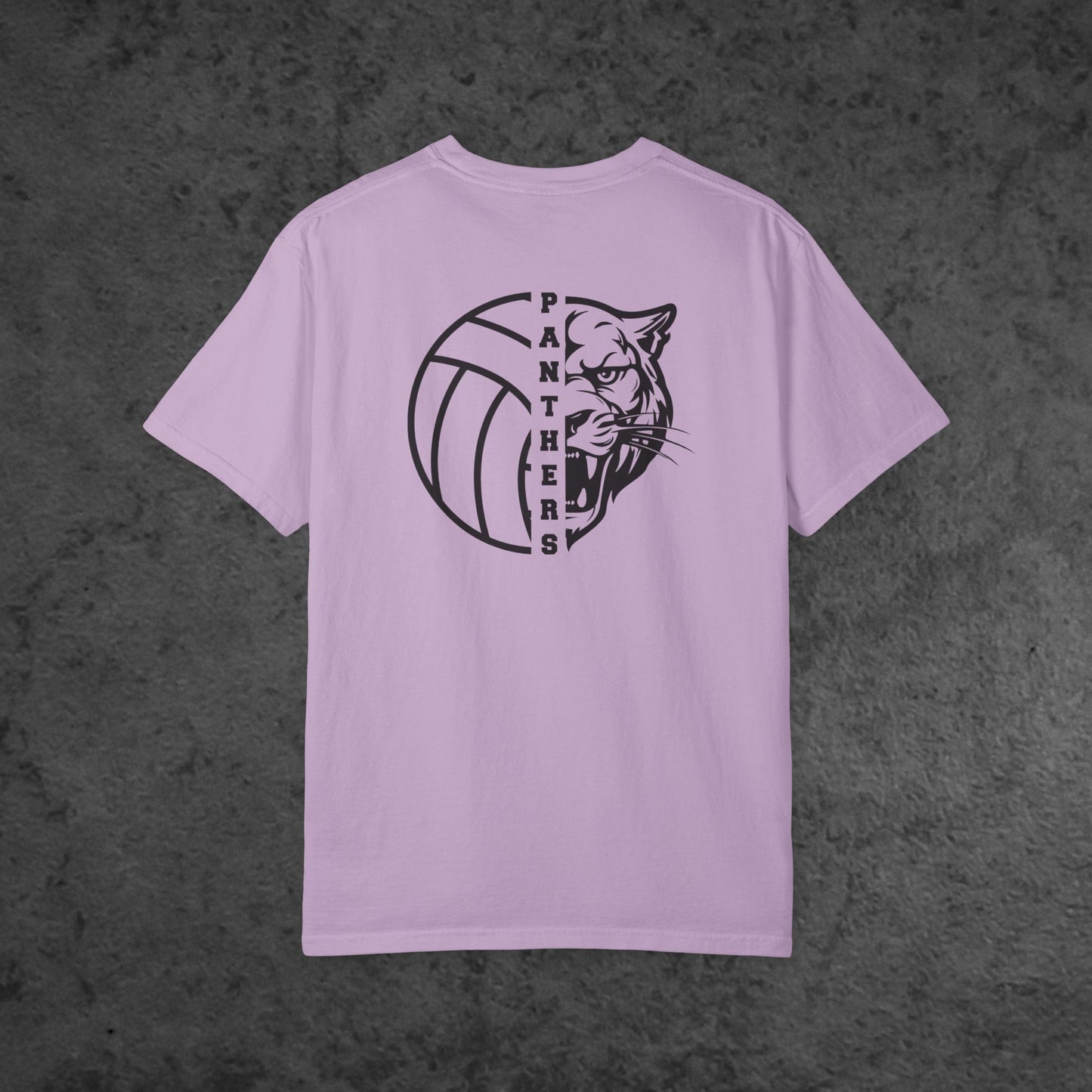 Volleyball Panther