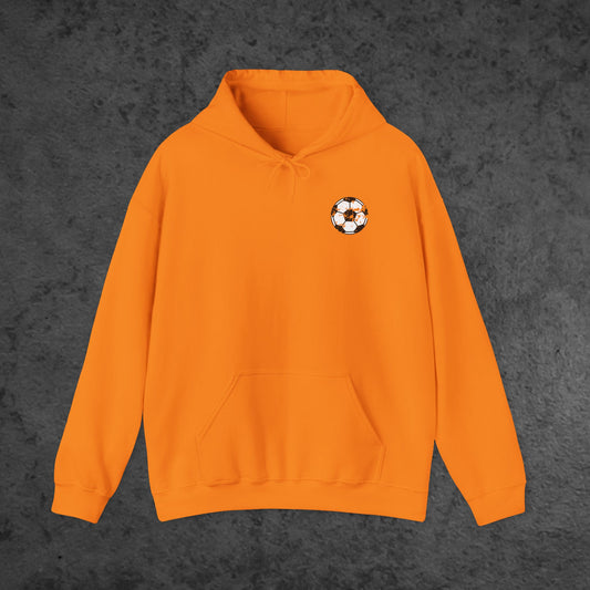 Panthers Soccer - Distressed