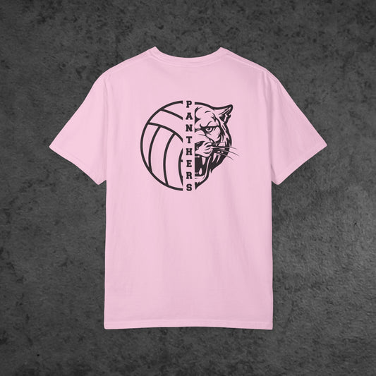 Volleyball Panther