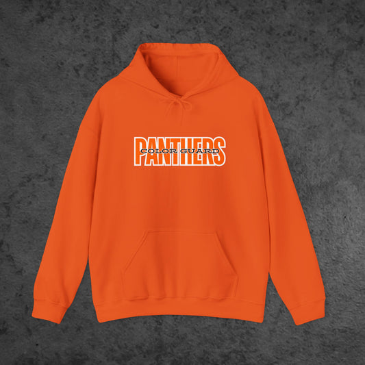 Original Panthers Color Guard